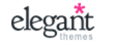 divi elegent themes